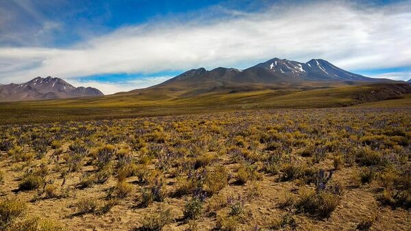 Cerro Toco, San Pedro de Atacama, Antofagasta, Chile