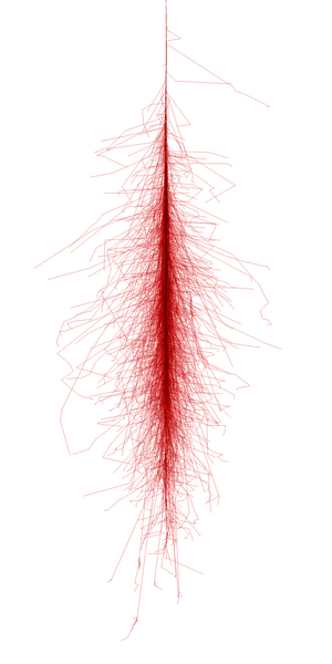 Photon shower 50 GeV from https://www.zeuthen.desy.de/~jknapp/fs/photon-showers.html