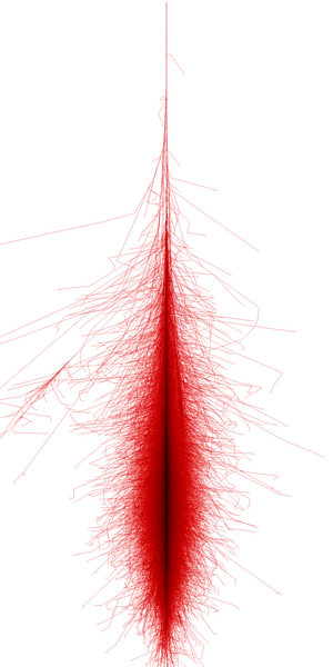 1000 GeV gamma ray shower from https://www.zeuthen.desy.de/~jknapp/fs/photon-showers.html